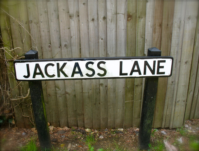 jackass lane